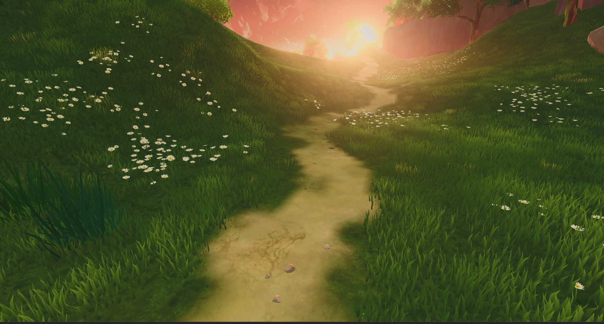 Sunrise over the Grasslands